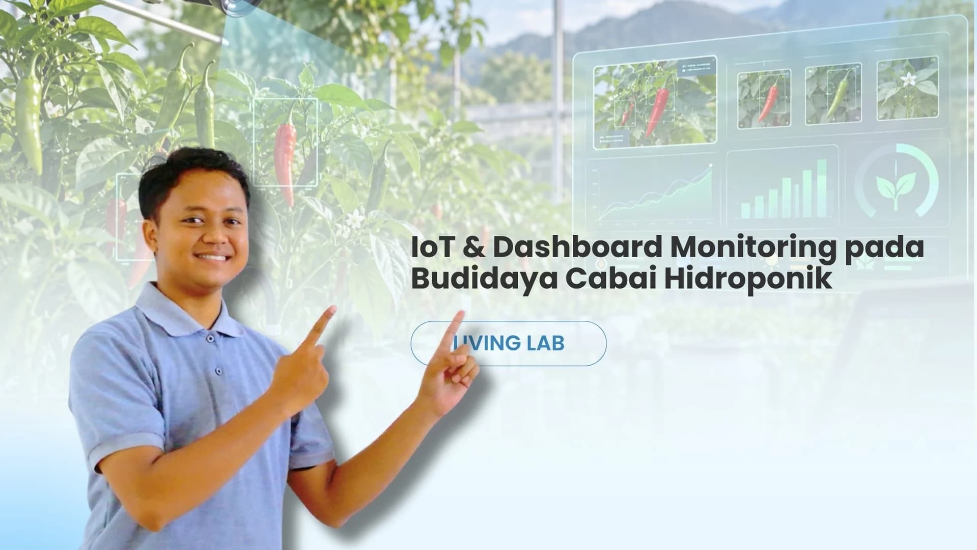 Pengembangan Iot dan Dashboard Monitoring pada Budidaya Cabai Hidroponik